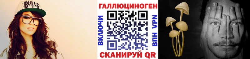 Псилоцибиновые грибы Psilocybine cubensis  Новая Усмань 